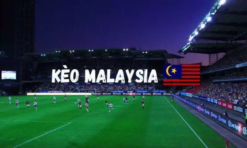 Bạn nên nghiên cứu kèo Malaysia trước khi tham gia