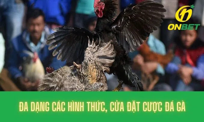 Đa dạng các hình thức đá gà