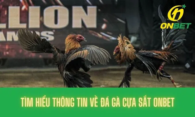 Tìm hiểu thông tin về đá gà cựa sắt Onbet